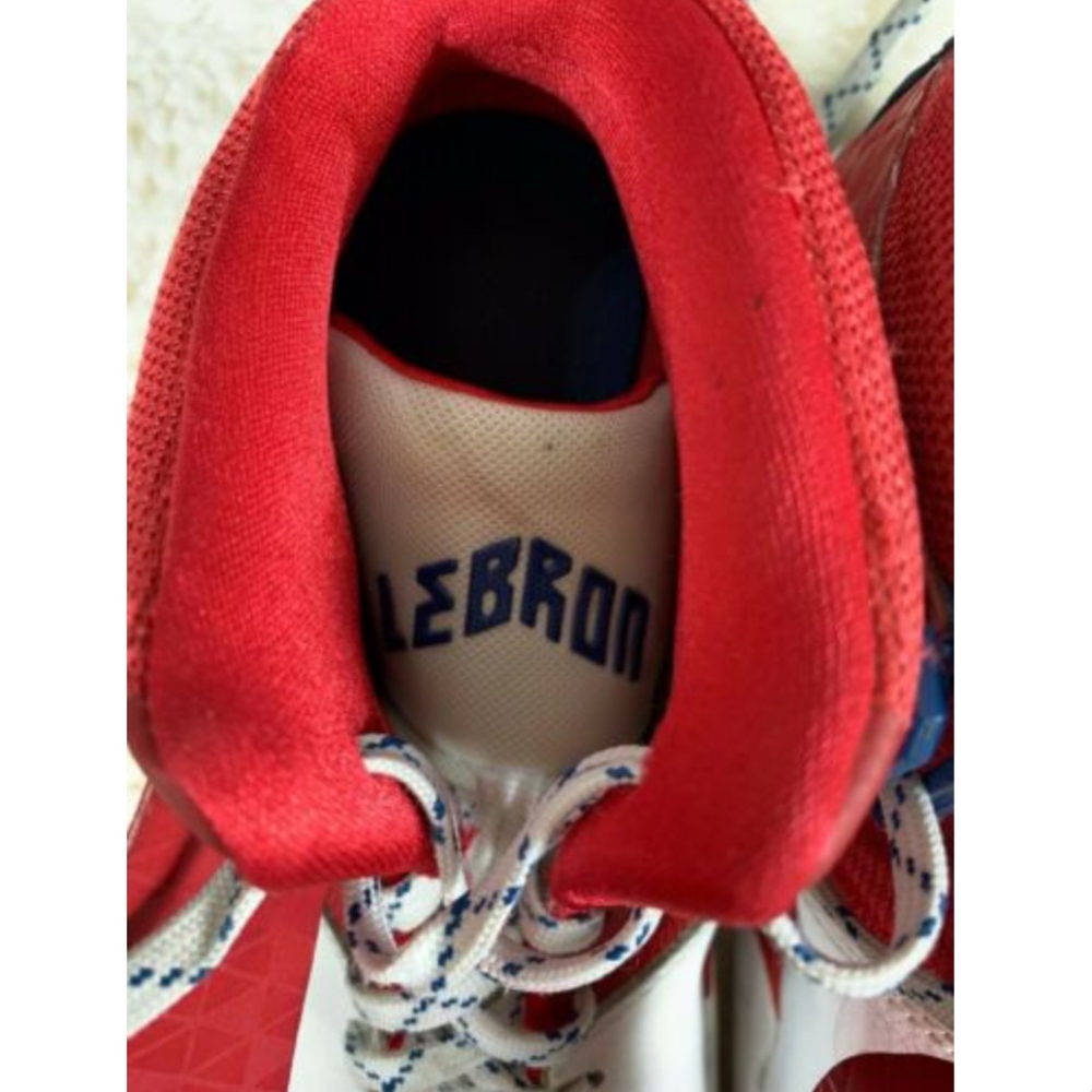 Nike Air Akronite Mid Top Lebron James Sneakers - Picture 3 of 8